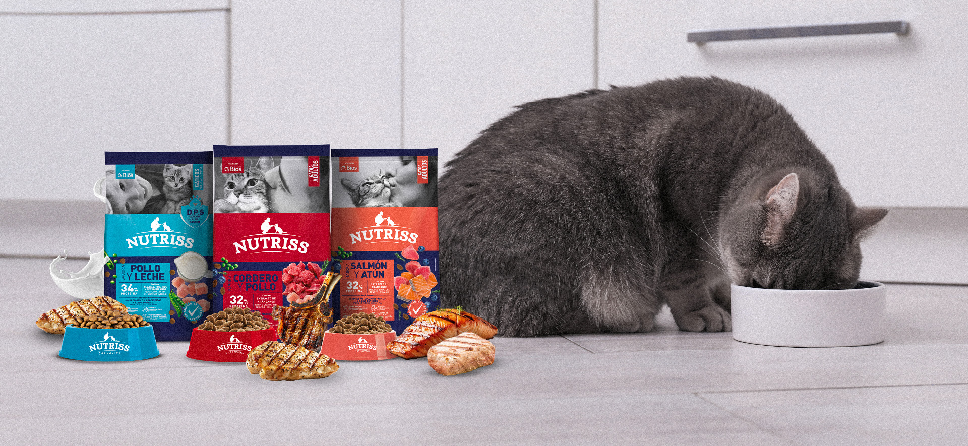 cuándo cambiar el alimento del gato